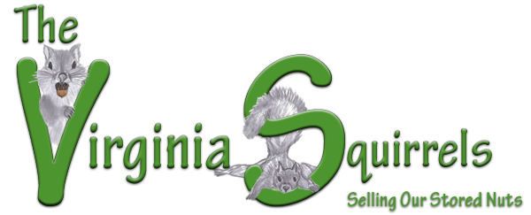 Virginia Squirrels Logo